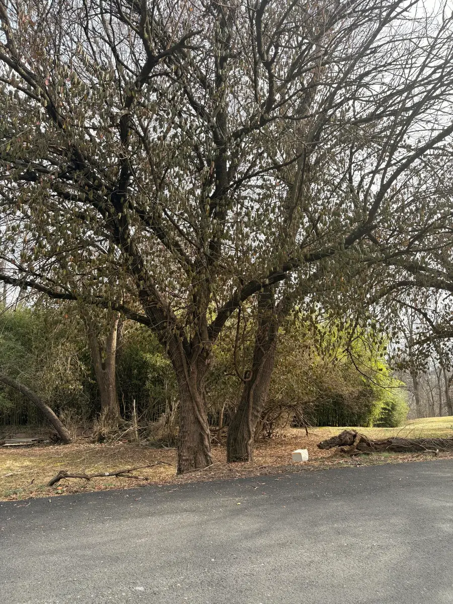 0 Archbold Ave Ne, Roanoke, VA 24012 - #2