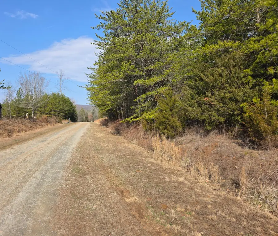 Lot 21 Reservoir View Ct, Pittsville, VA 24139 - #3