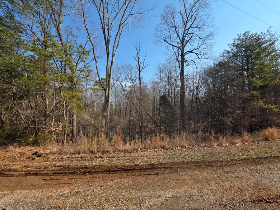 Lot 20 Reservoir View Ct, Pittsville, VA 24139 - #3