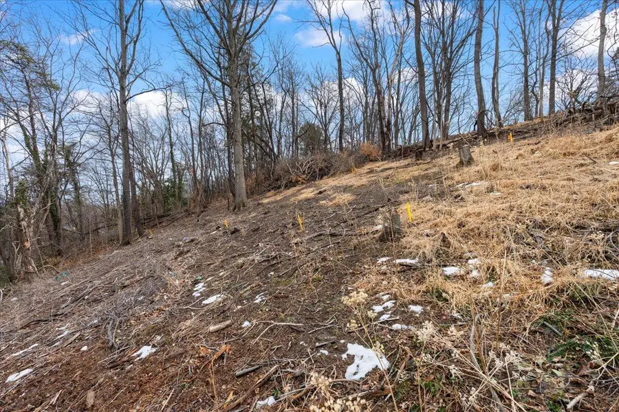 912 Homestead Dr, Salem, VA 24153 - #2