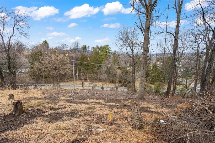 912 Homestead Dr, Salem, VA 24153 - #3