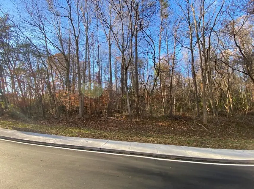 00 Dent St, Rocky Mount, VA 24151 - #2