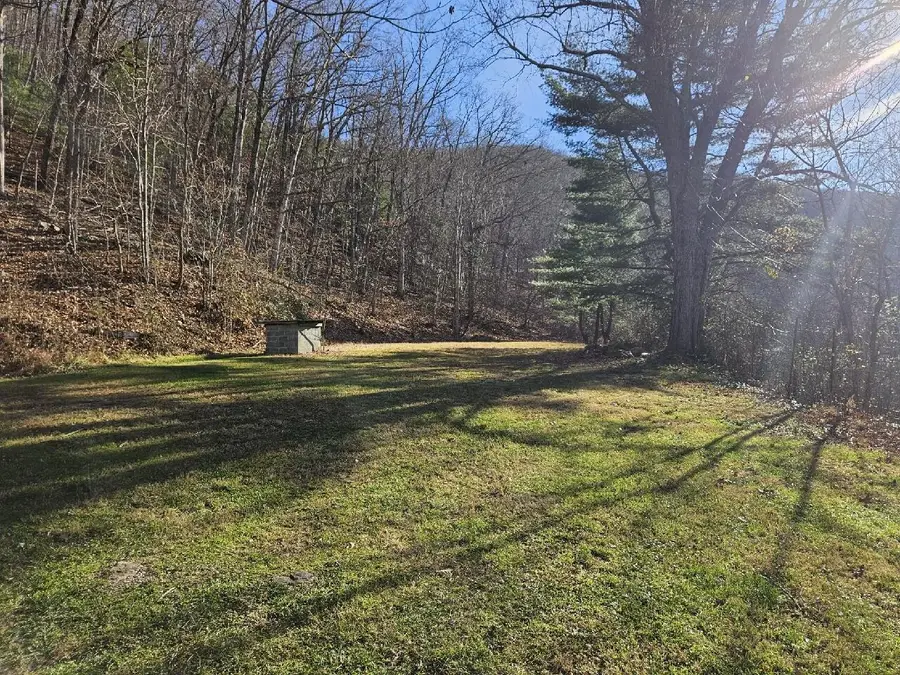 222 Cove Mountain Ln, Buchanan, VA 24066 - #3