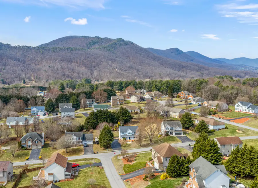 175 Wellington Ln, Daleville, VA 24083 - #2