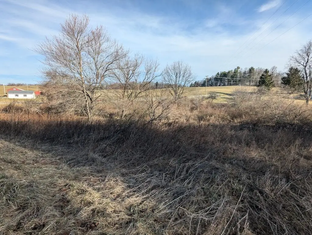 TBD Coles Knob Rd Ne, Pilot, VA 24138 - #1