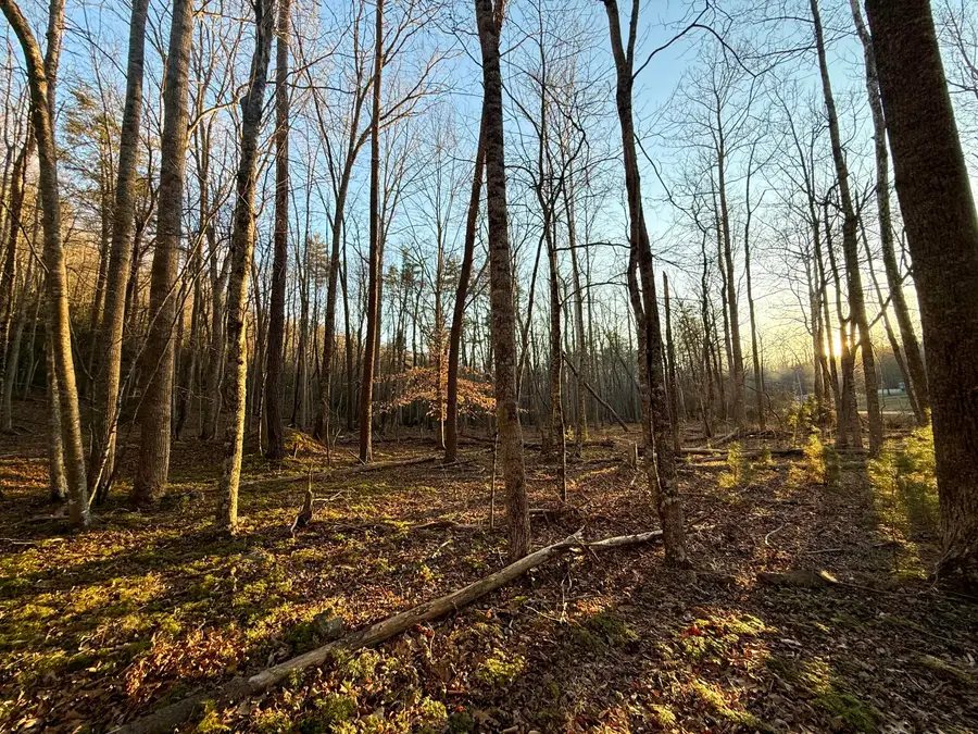 0 Dicks Creek Rd, New Castle, VA 24127 - #2