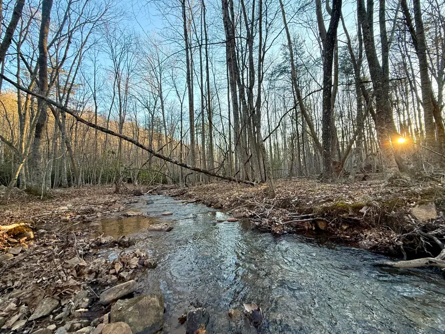 0 Dicks Creek Rd, New Castle, VA 24127 - #3