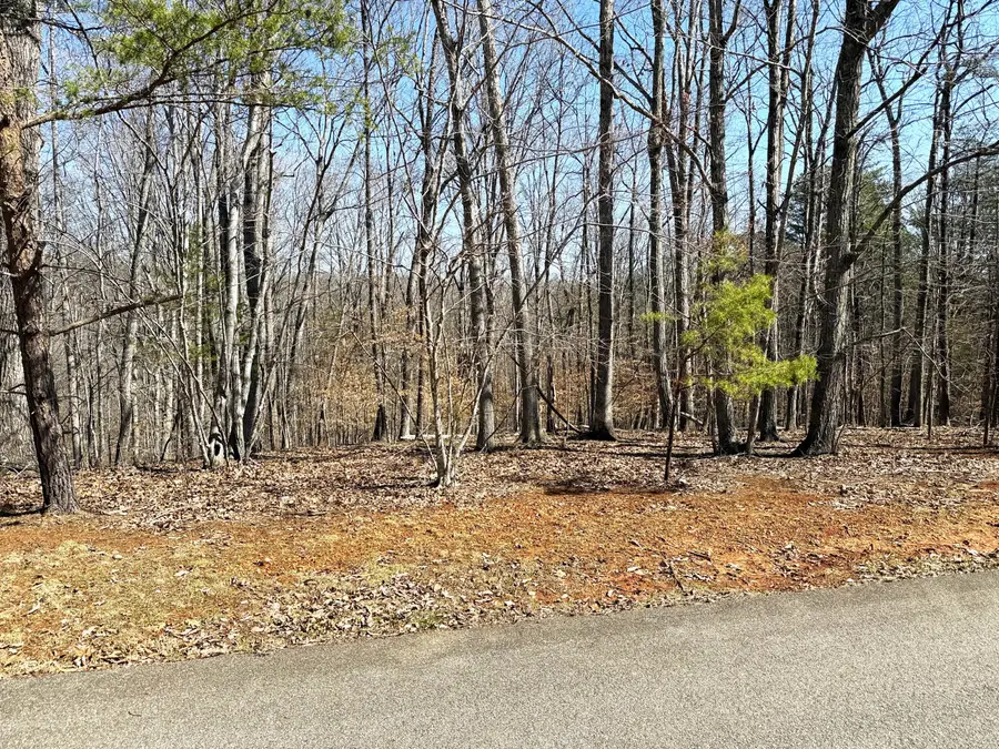 Lot 19 Gap Bridge Rd, Moneta, VA 24121 - #2