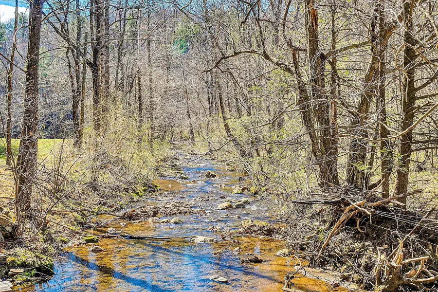 1164 Dry Hill Rd, Ferrum, VA 24088 - #2