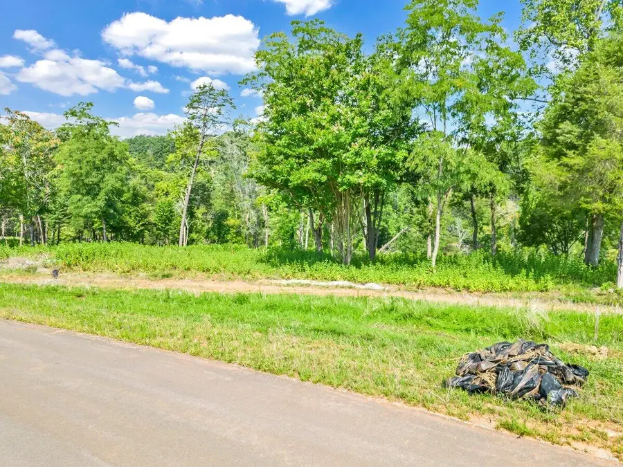 Lot 10 Springsteen Cir, Hardy, VA 24101 - #2