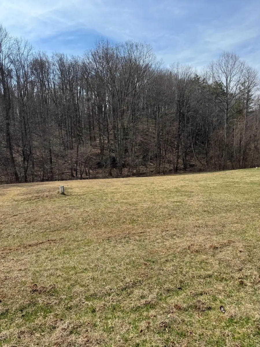 0 Foothills Rd, Callaway, VA 24067 - #3