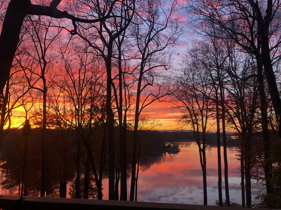 104 Jayson Ter, Moneta, VA 24121 - #3