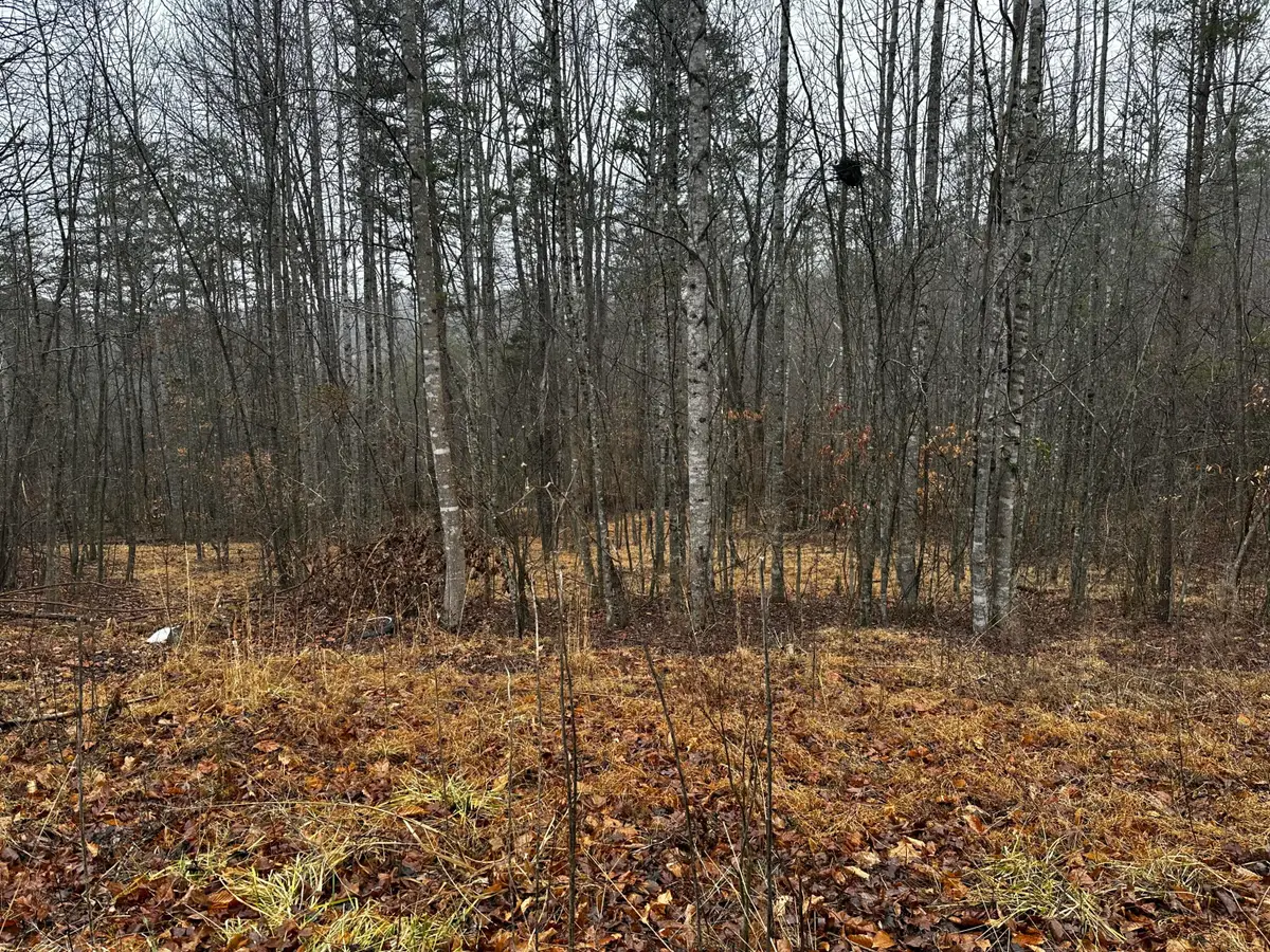 TBD Lauren Mill Dr, Fieldale, VA 24089 - #1