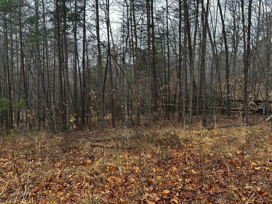 TBD Lauren Mill Dr, Fieldale, VA 24089 - #2