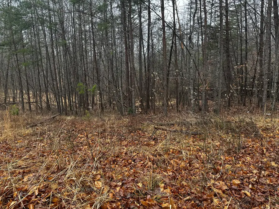 TBD Lauren Mill Dr, Fieldale, VA 24089 - #3