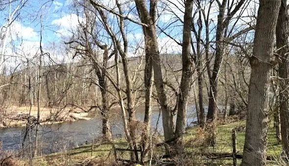 424 E Parrish St, Covington, VA 24426 - #2