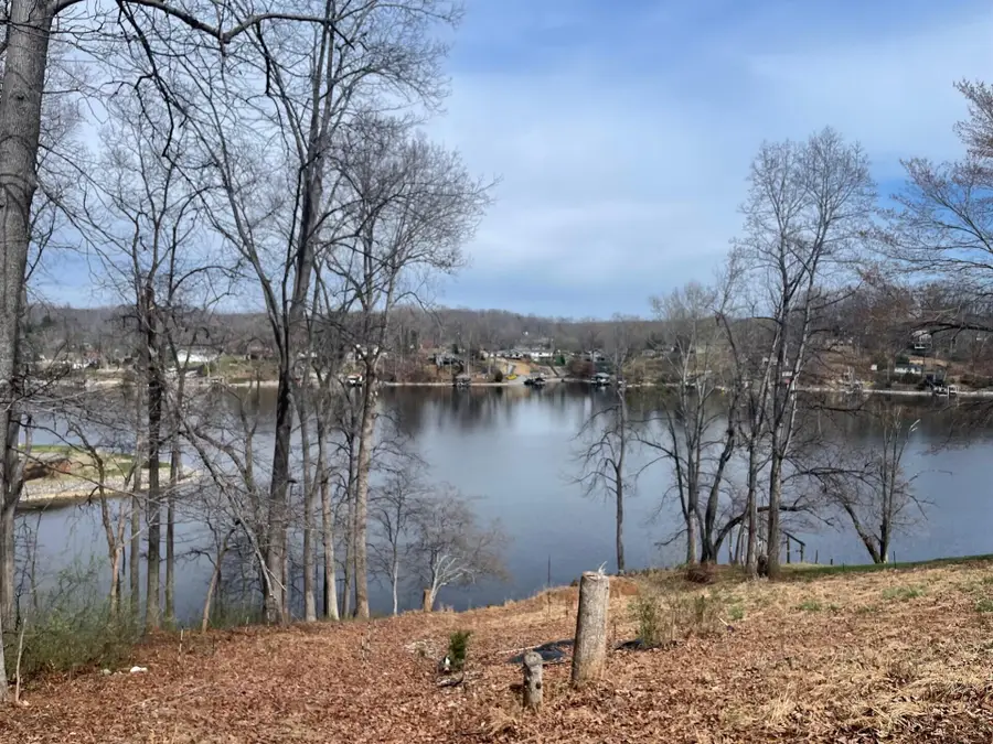 Lot 1 Horseshoe Bend Rd, Goodview, VA 24095 - #3