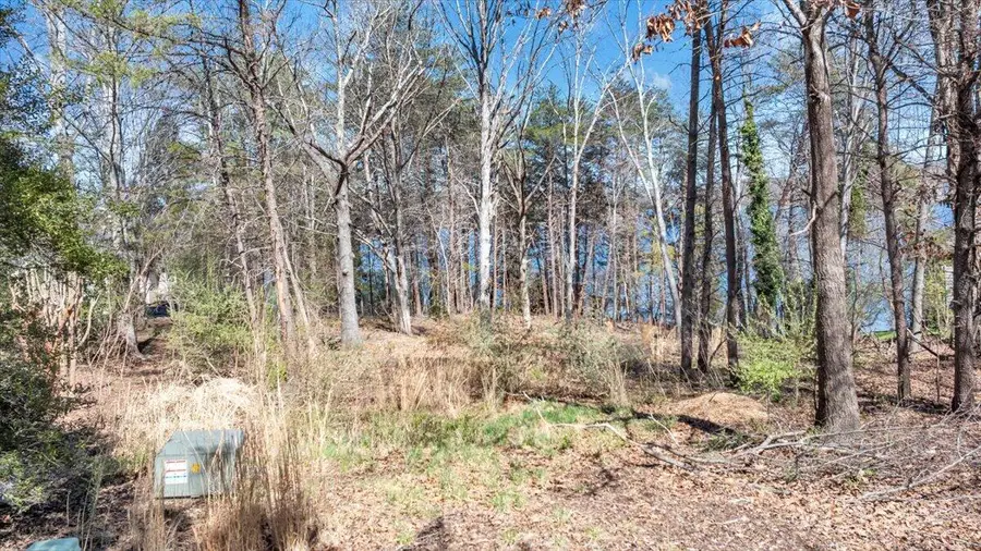 LOT 10 Riverbay Dr, Moneta, VA 24121 - #3