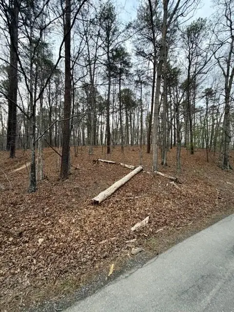 0 Timberview Rd, Roanoke, VA 24019 - #2