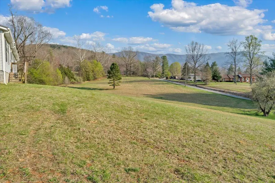 215 Cedar Bottom Rd, Natural Bridge Station, VA 24579 - #2