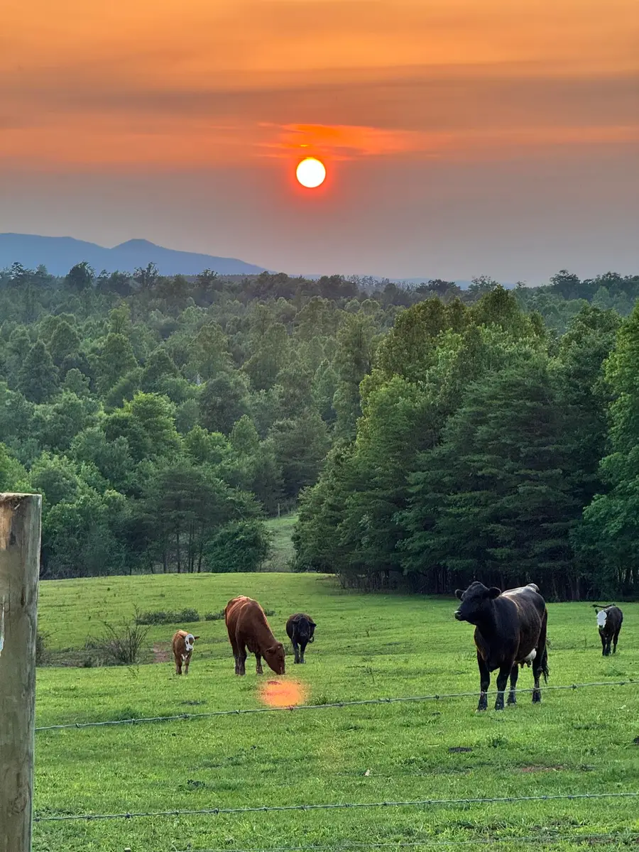 2011 Spencer-preston Rd, Martinsville, VA 24112 - #2