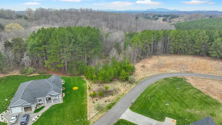 Lot 9 Pine Watch Cir, Moneta, VA 24121 - #3