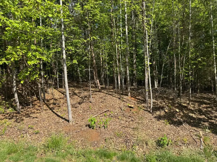 Lot 40 Lakeside Ln, Glade Hill, VA 24092 - #3