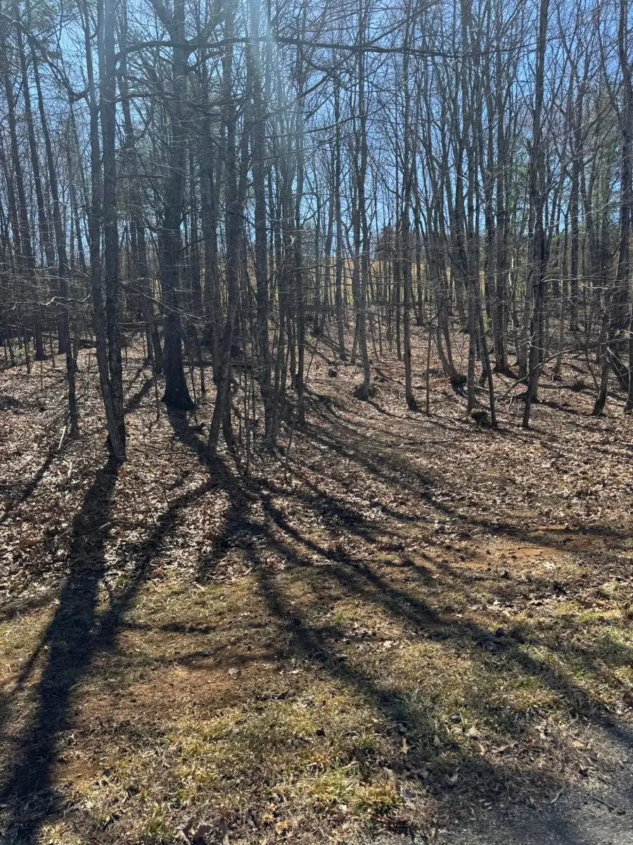 Lot 10A Navajo Cir, Henry, VA 24102 - #2