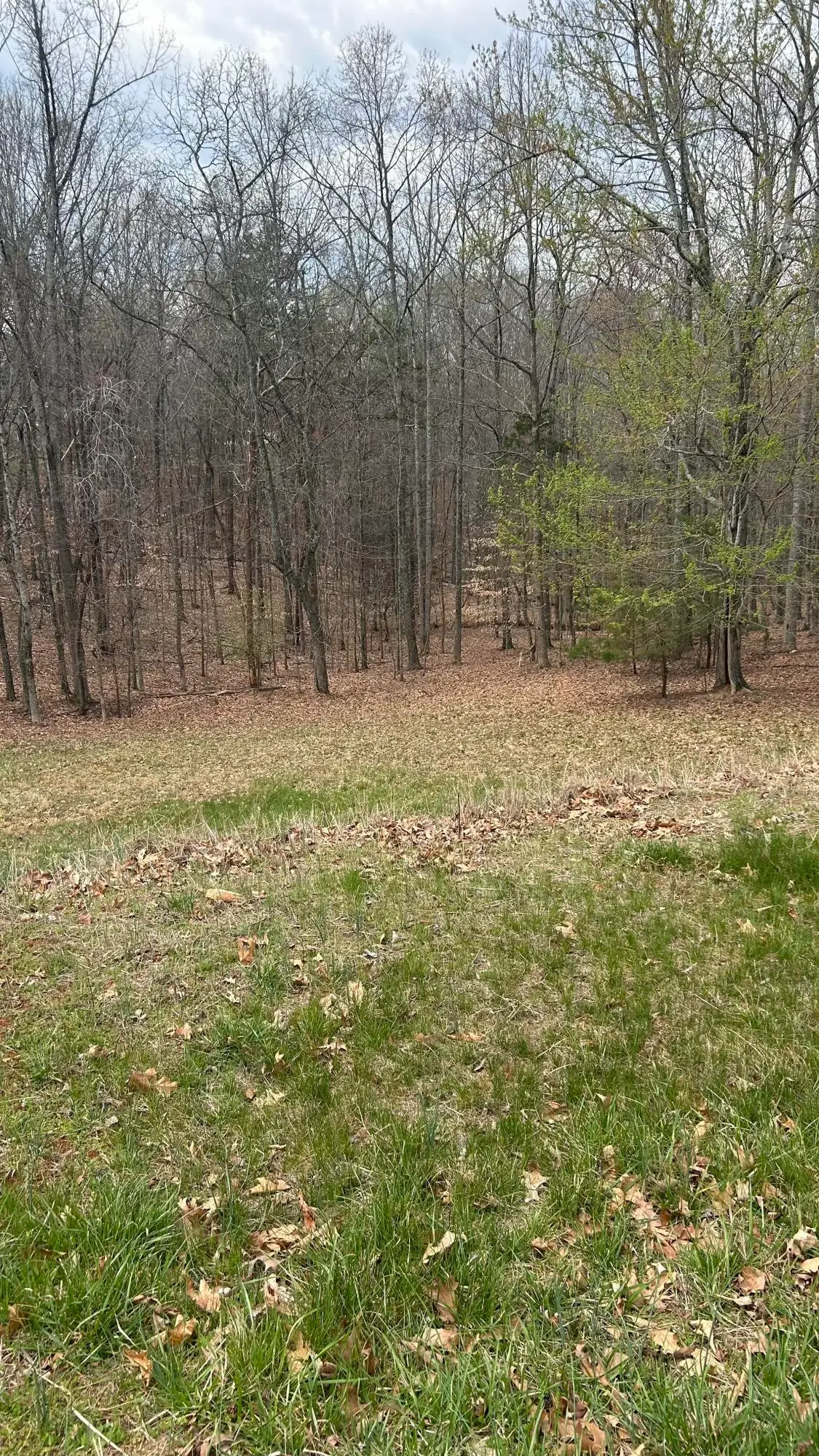 Lot 2 Gilfield Dr, Forest, VA 24551 - #1