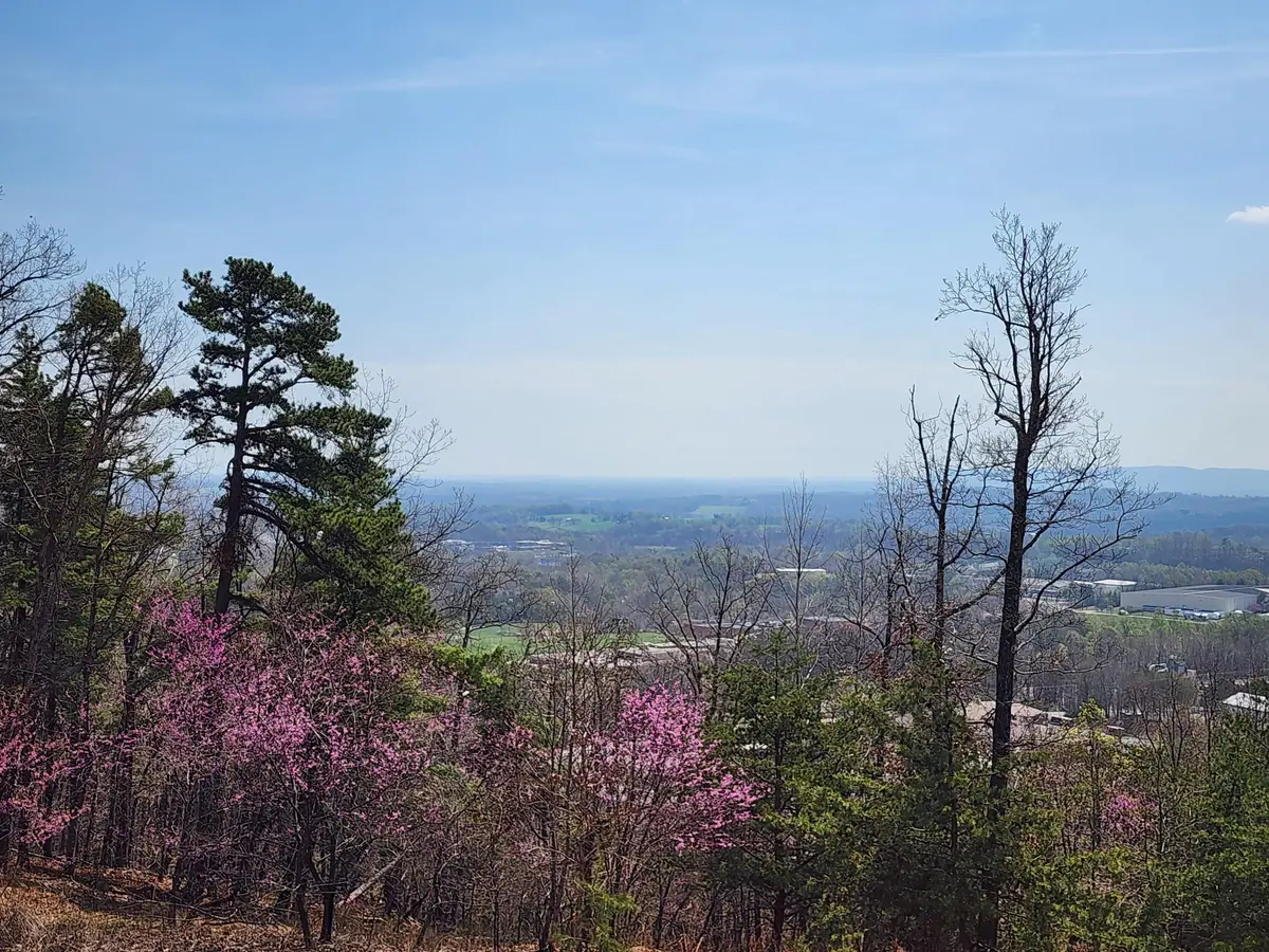 Lot 44 Summit Dr, Rocky Mount, VA 24151 - #1