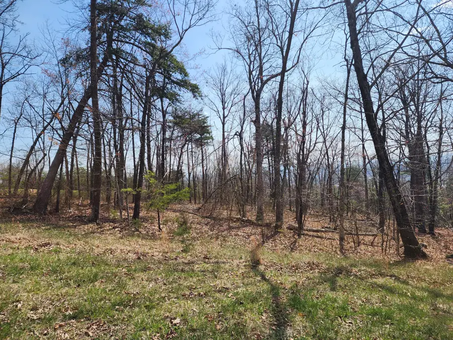 Lot 44 Summit Dr, Rocky Mount, VA 24151 - #2