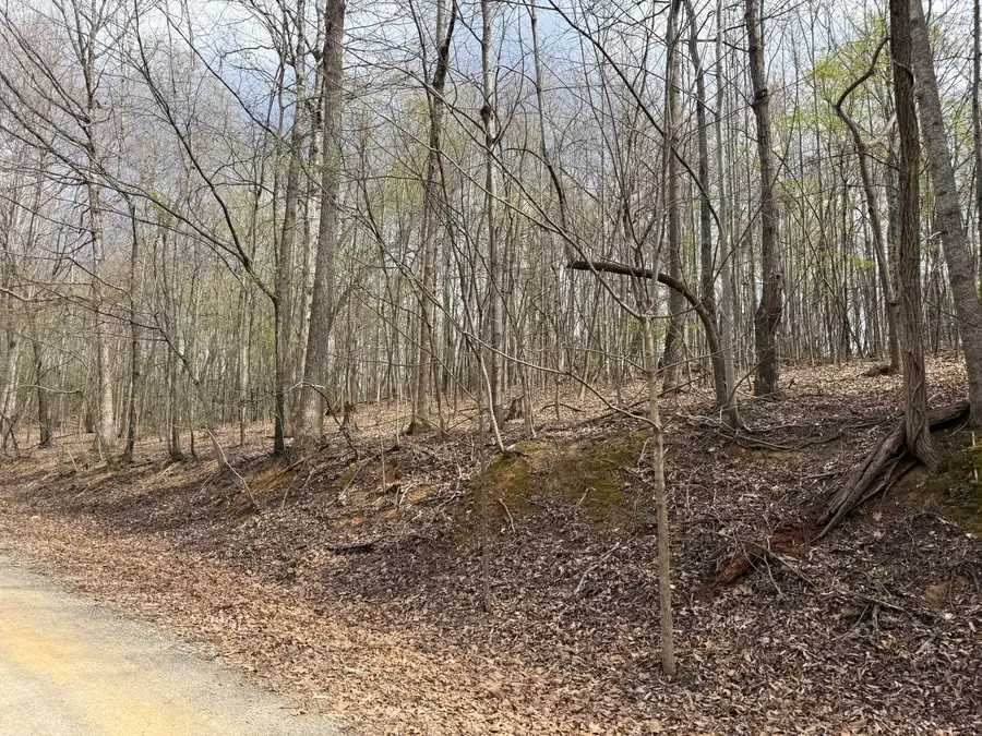 0 Back Creek Rd, Boones Mill, VA 24065 - #2