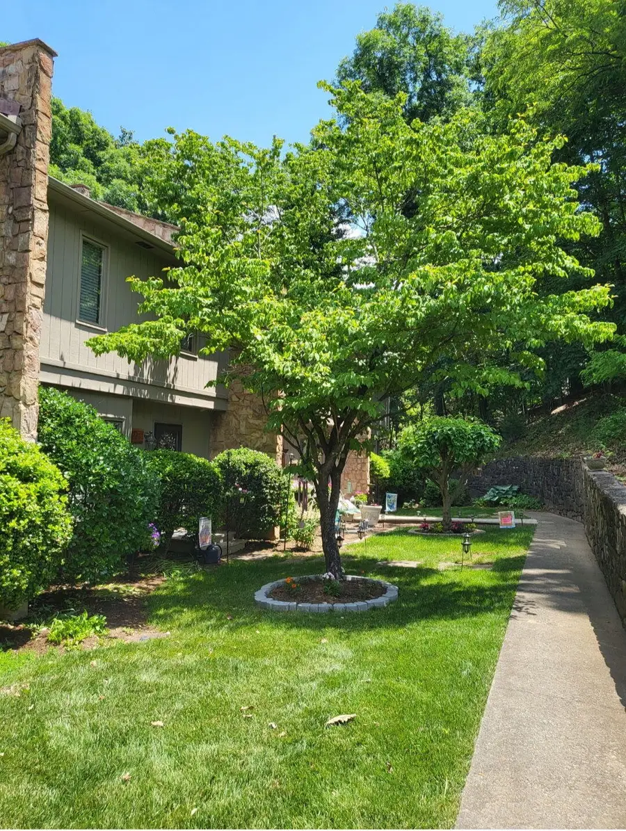 3518 Stonehenge, Roanoke, VA 24018 - #2