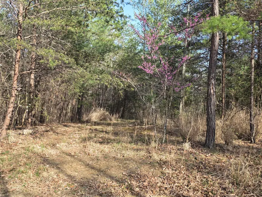 00 Knob Church Rd, Henry, VA 24102 - #2