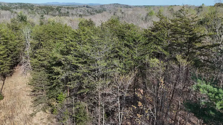 00 Knob Church Rd, Henry, VA 24102 - #3