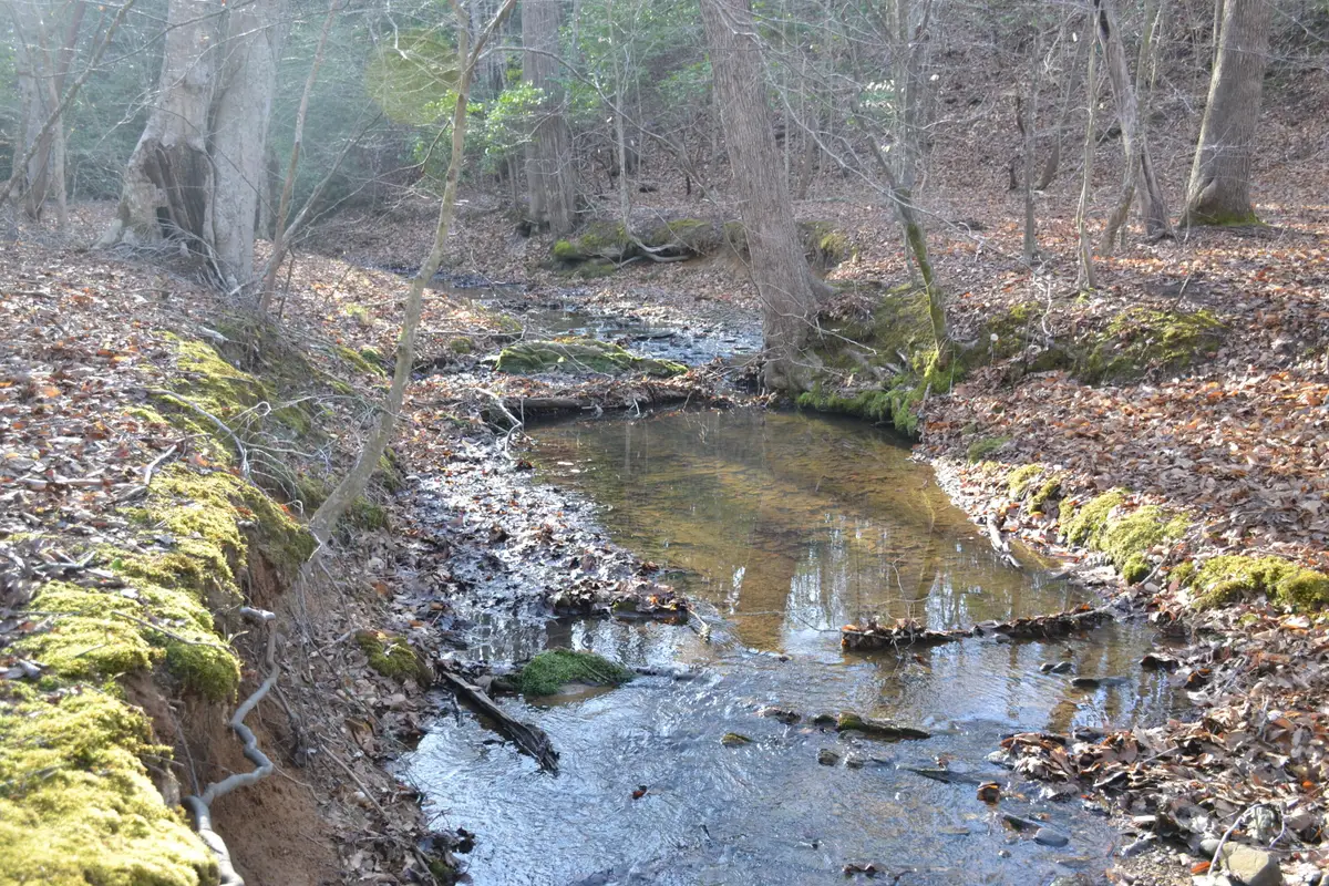 15796 E Gretna Rd, Gretna, VA 24557 - #1