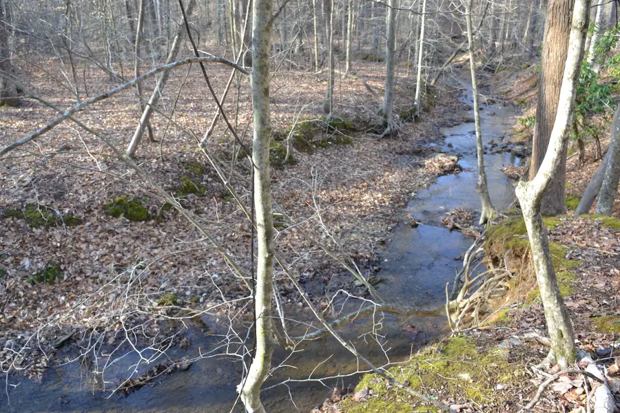 15796 E Gretna Rd, Gretna, VA 24557 - #2