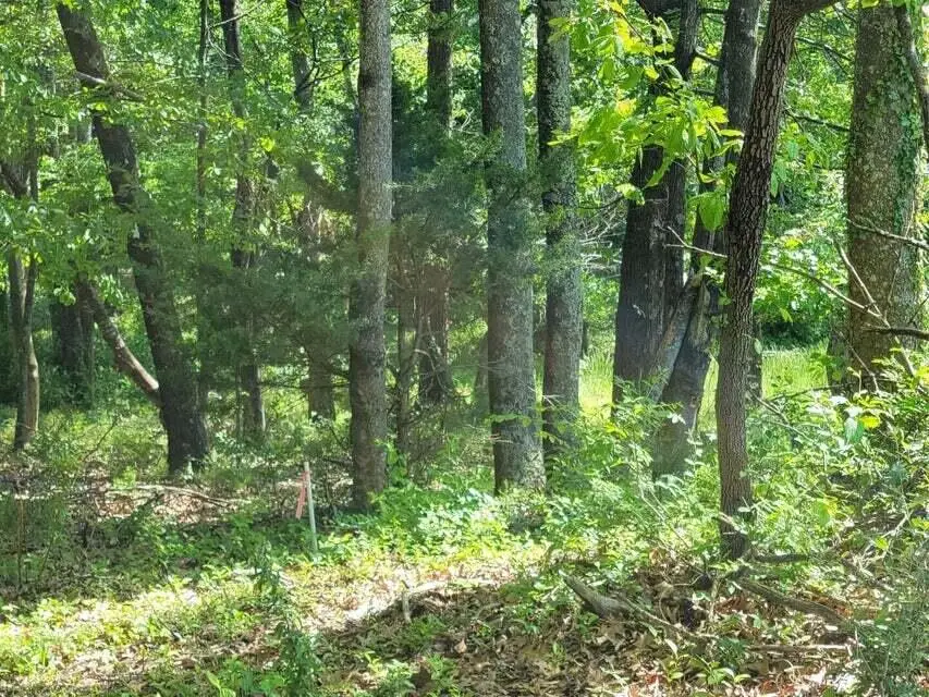 0 Keagy Rd, Roanoke, VA 24018 - #3