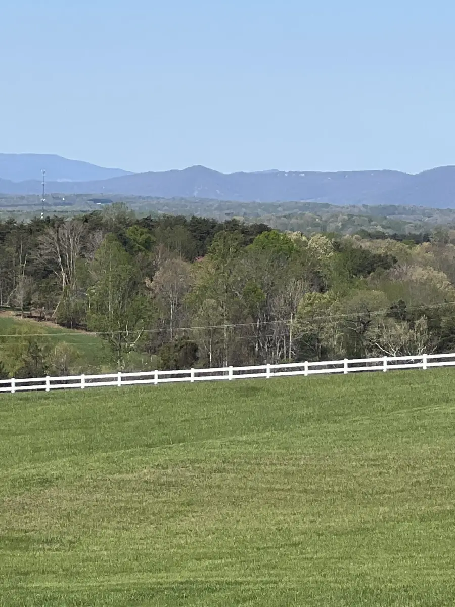 1147 Hickory Cove Ln, Moneta, VA 24121 - #3