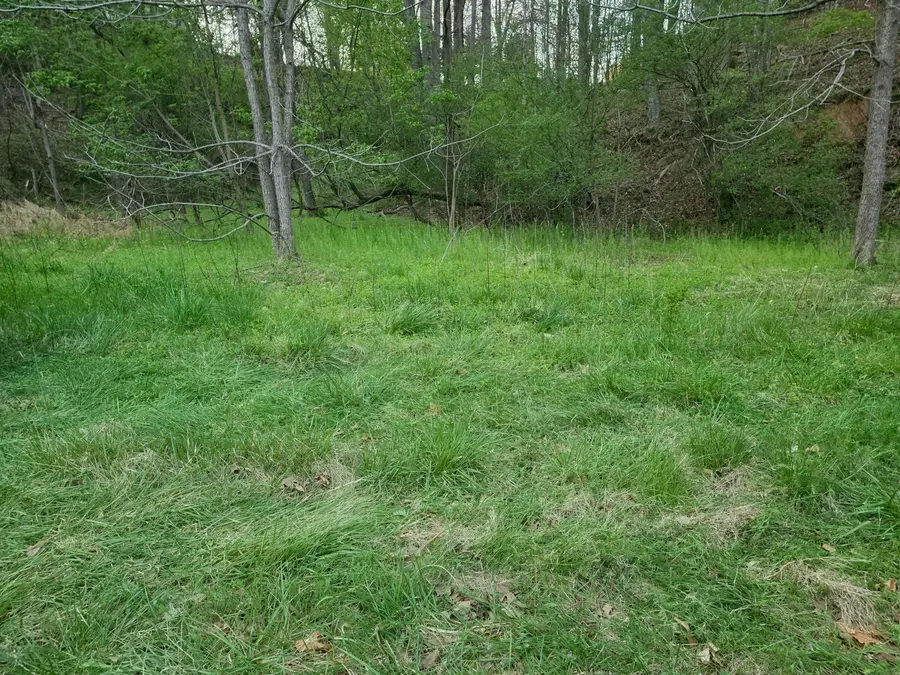 6993 Franklin Rd, Boones Mill, VA 24065 - #3