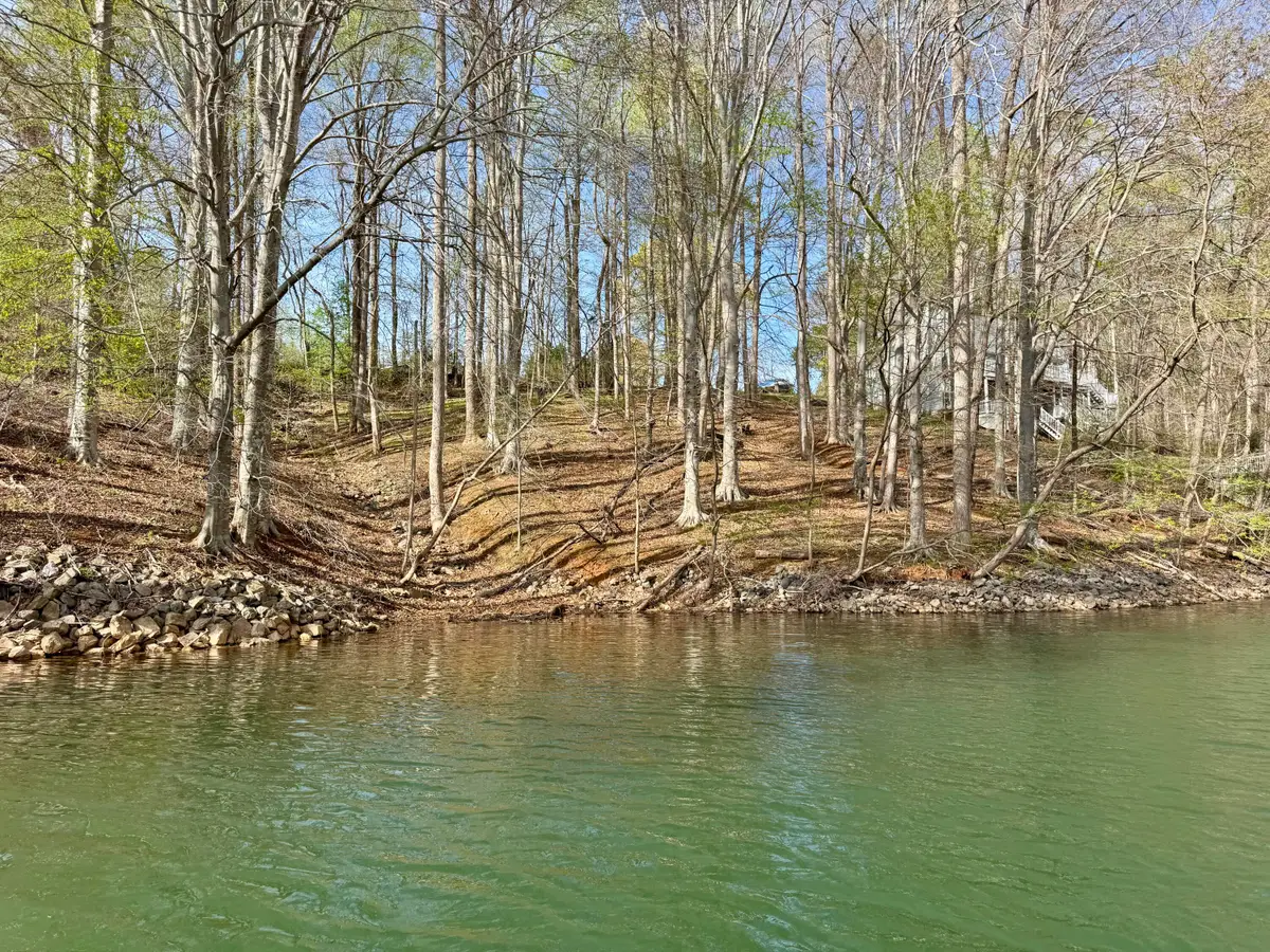 Lot 13 Little Creek Rd, Moneta, VA 24121 - #1