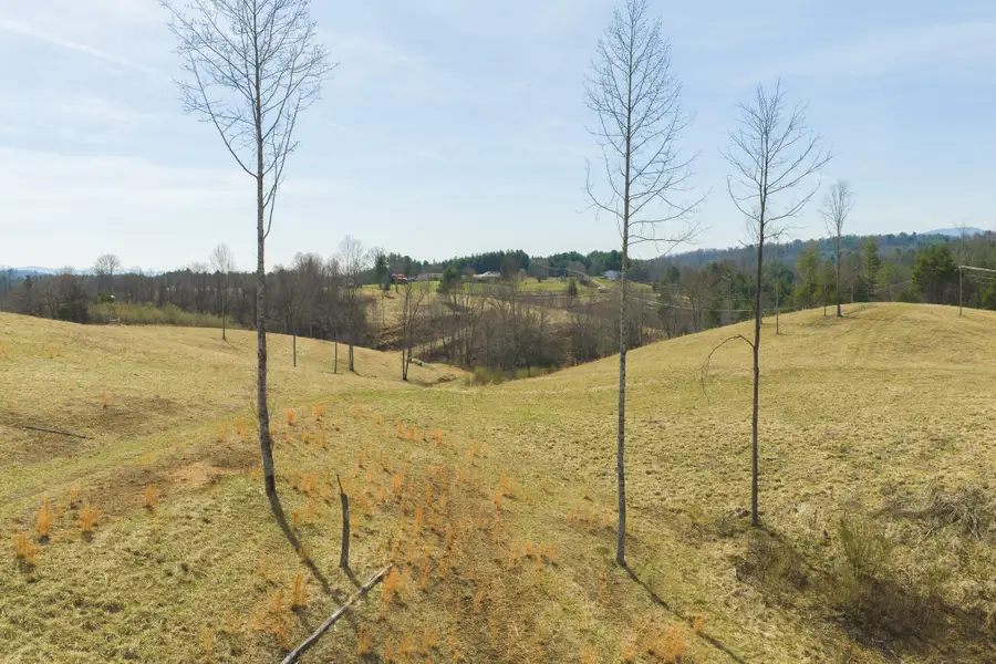 TBD Carsonville Rd, Independence, VA 24348 - #3
