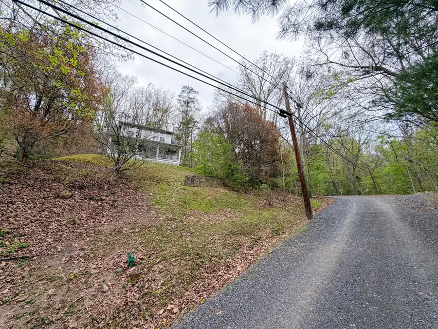 110 Crescent Ave, Iron Gate, VA 24448 - #3