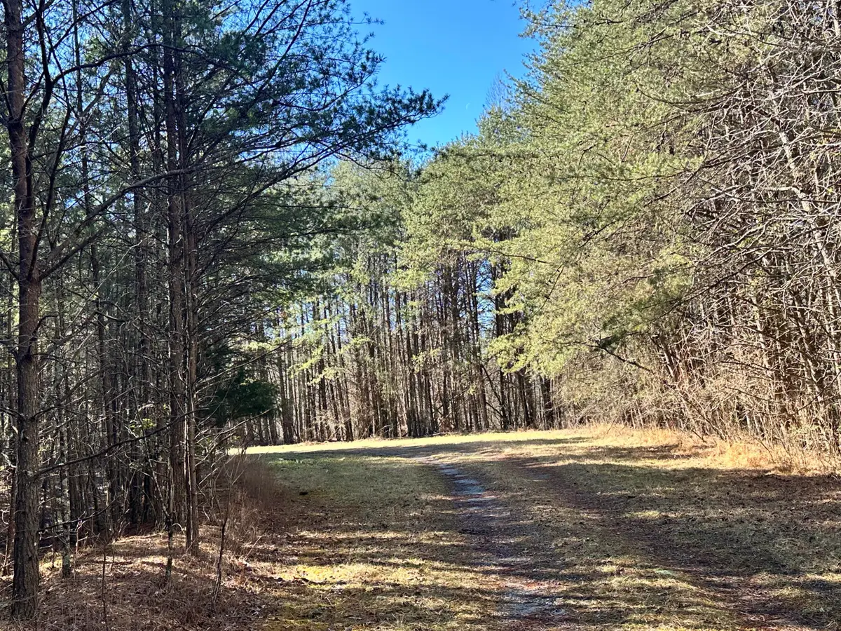 0 Grays Creek Rd, Whitwell, TN 37397 - #1