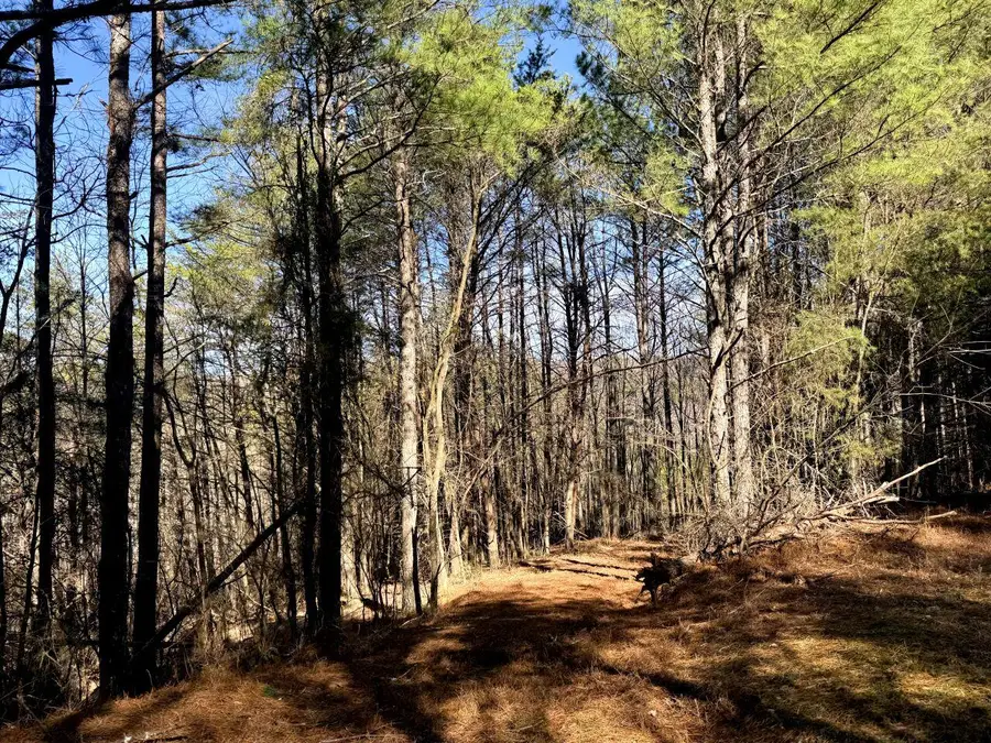 0 Grays Creek Rd, Whitwell, TN 37397 - #2