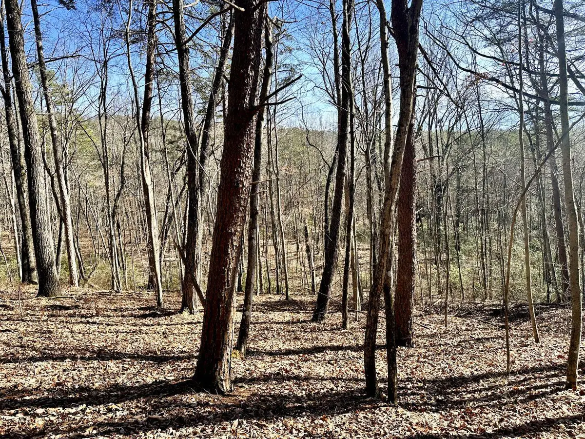 0 Hobbstown Rd, Dunlap, TN 37327 - #1