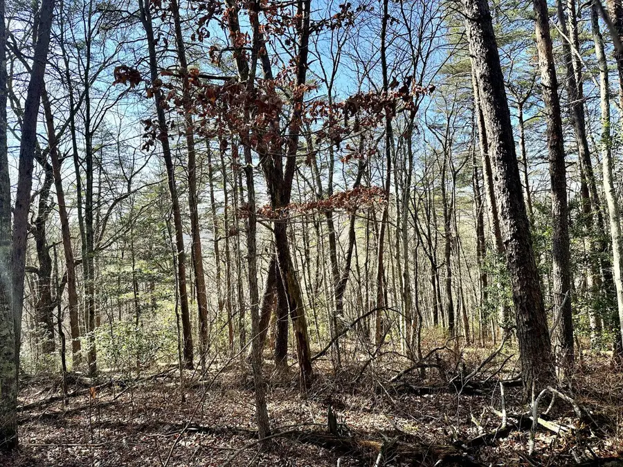 0 Hobbstown Rd, Dunlap, TN 37327 - #2
