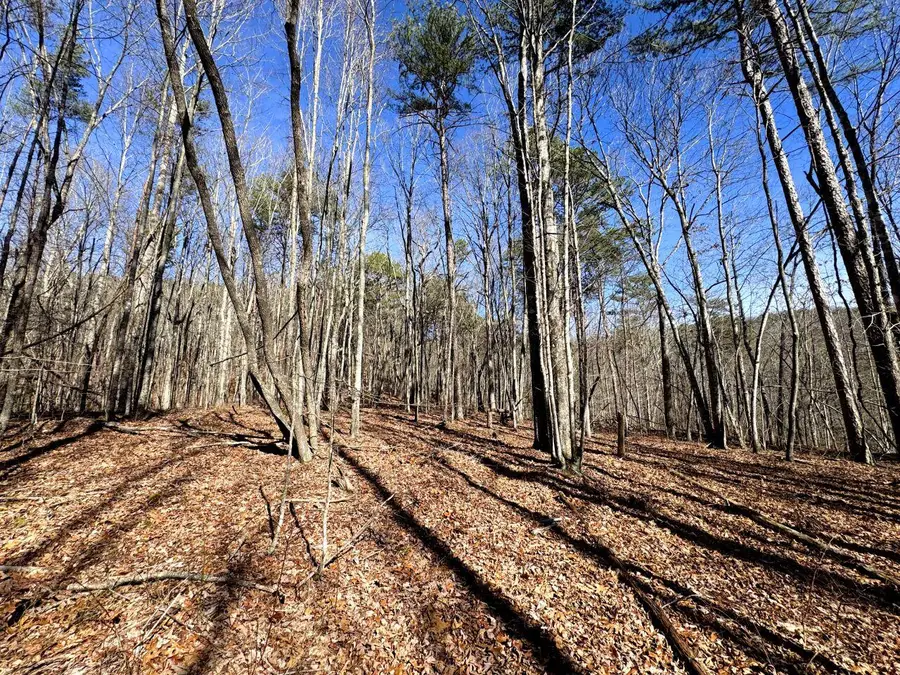 0 Hobbstown Rd, Dunlap, TN 37327 - #3