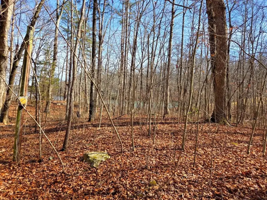 0 Fawn Cir, Dunlap, TN 37327 - #3
