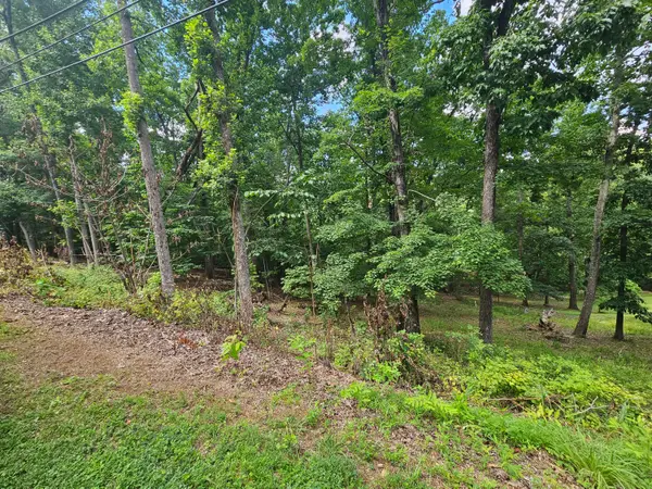 0 Pin Oak Dr, Blue Ridge, VA 24064